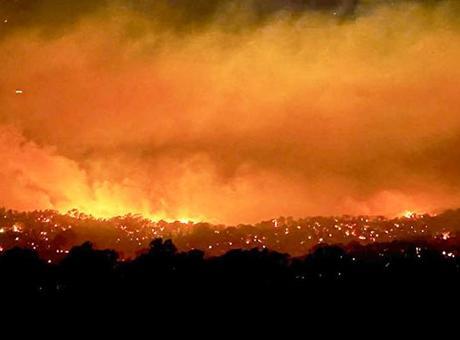 Avustralya alevlere teslim! 300 bin hektarlık alan yandı, 130 ev kül oldu