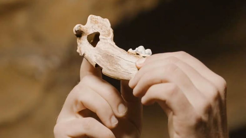 Kanıt Türkiye'de Pınarbaşı'nda bulundu: Tarihi değiştiren keşif