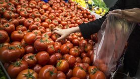 Mart ayı enflasyonunda beklentiler belli oldu