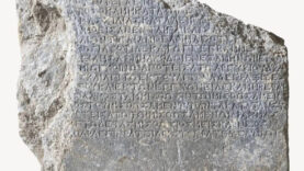 2 bin 200 yılık, Fethiye'de bulundu: Kira karşılığı ağaç dikme yükümlülüğü getiriyor!