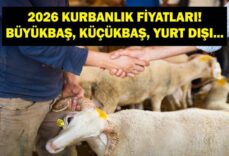 2026 KURBANLIK FİYATLARI: Büyükbaş, Küçükbaş Kurbanlık Fiyatları Ne Kadar? Büyükbaş Hisse Fiyatı Ne? Yurt Dışı Kurban Bağışı Ne Kadar?