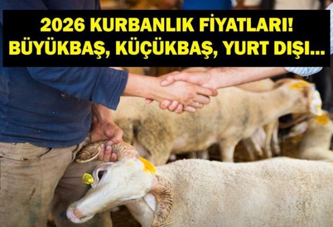 2026 KURBANLIK FİYATLARI: Büyükbaş, Küçükbaş Kurbanlık Fiyatları Ne Kadar? Büyükbaş Hisse Fiyatı Ne? Yurt Dışı Kurban Bağışı Ne Kadar?