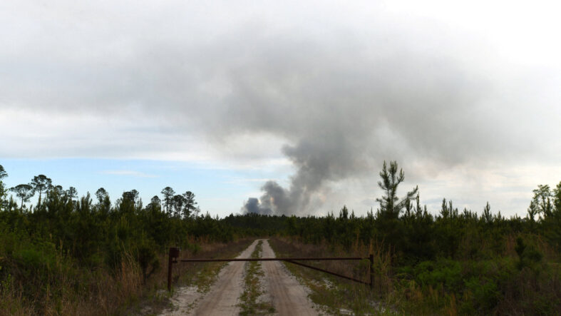 ABD'de orman yangınları: 54 ev ve 27 bin dönümlük alan küle döndü