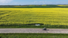 Çiftçiler o ürüne yöneldi, talep patladı