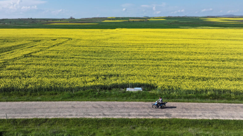 Çiftçiler o ürüne yöneldi, talep patladı