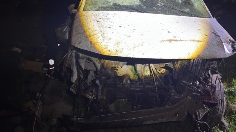 Cizre’de kamyonet şarampole uçtu: 1 ağır yaralı