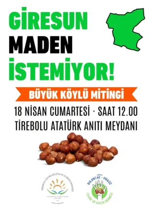 Giresun’da "Maden" Alarmı: Fındığımıza ve Doğamıza Dokunma!