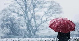 Meteoroloji'den 14 il için sarı alarm: Kuvvetli yağış uyarısı