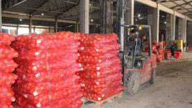 Pazarda 15 TL'ye satılıyor; başta Avrupa, bütün dünyaya buradan gidiyor