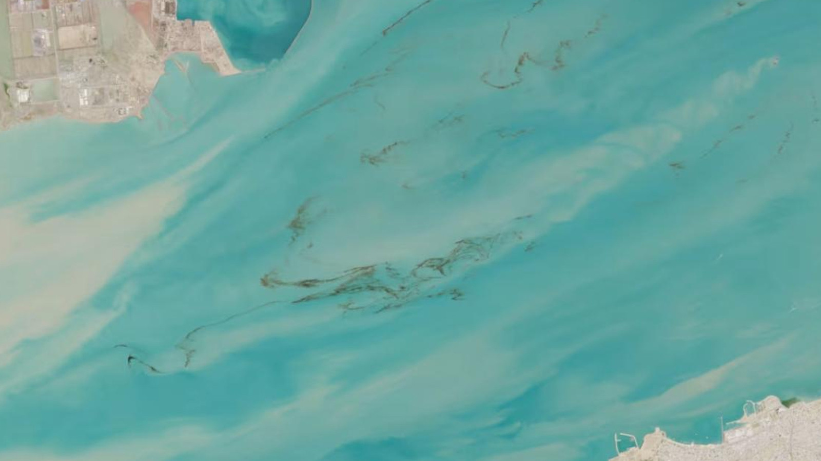 Petrol sızıntısı uzaydan görülüyor: Koruma altındaki alanlar tehlikede!