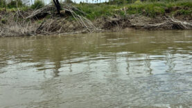 Sakarya'da nehre düşen 10 yaşındaki Ahmet'ten bir haftadır iz yok