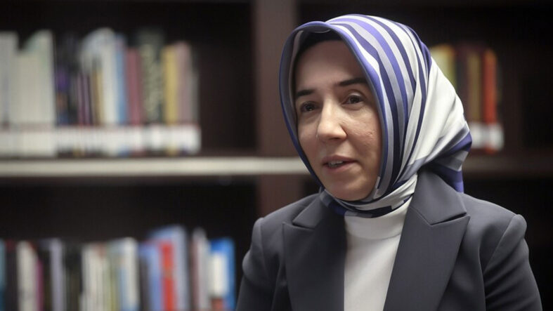 TCMB Başkan Yardımcısı Karahan: Her şok müdahale gerektirmeez