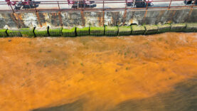 Tekirdağ'da şaşırtan görüntü: Deniz turuncuya döndü