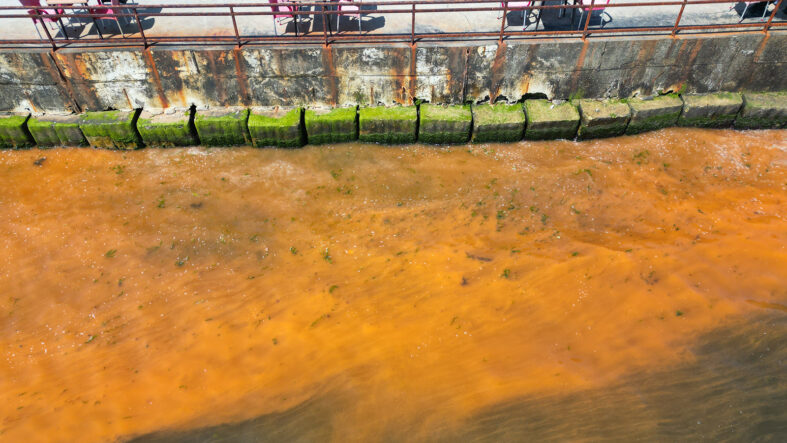 Tekirdağ'da şaşırtan görüntü: Deniz turuncuya döndü