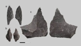 59 bin yıllık diş bilim dünyasını şaşırttı: Neandertallerin tedavi yöntemi ortaya çıktı