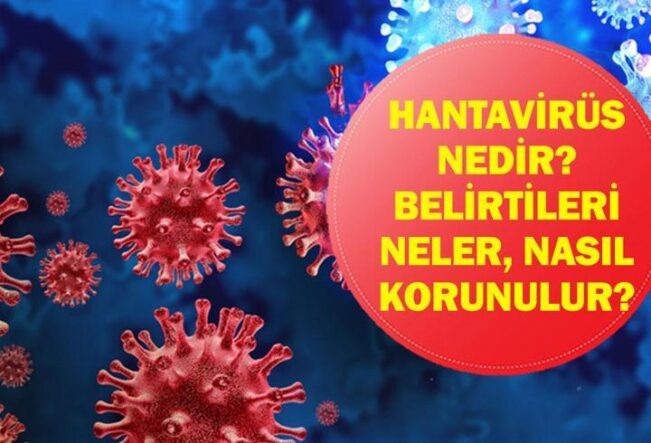 Hantavirüs Alarmı: Hantavirüs Nedir, Nasıl Bulaşır? Erken Belirtiler Neler, Nasıl Korunulur? MV Hondius Gemisinde Şüpheli Salgın!