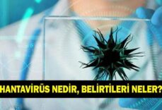 Hantavirüs nedir, belirtileri neler? Hantavirüs bulaşıcı mı, korunma yolları neler?