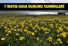 HAVA DURUMU TAHMİNLERİ 7 MAYIS: İstanbul, Ankara, İzmir, Bursa'da havalar nasıl olacak? İl il hava durumu tahminleri