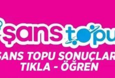 SON DAKİKA | 20 MAYIS 2026 ŞANS TOPU SONUÇLARI AÇIKLANDI! Milli Piyango Online ile Şans Topu sonuçları nasıl öğrenilir?