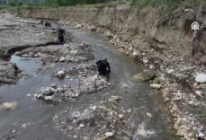 Kırıntı madencilerinin altın mesaisi