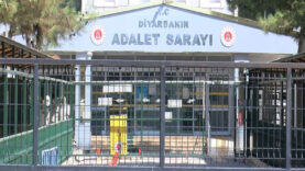 Diyarbakır'da doktoru darbeden zanlı tutuklandı