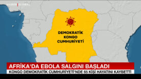 Ebola salgını başladı: 65 ölü