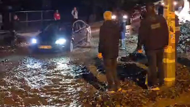 Hatay'da sağanak; hayvan pazarını su bastı