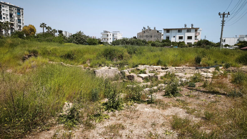 İş insanı villa yaptıracaktı! Arsada milli servet çıktı