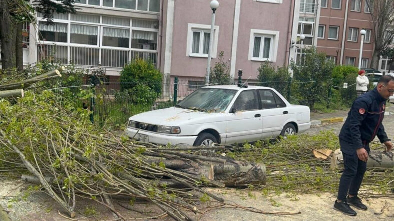 İstanbul'da şiddetli rüzgar: Ağaç devrildi
