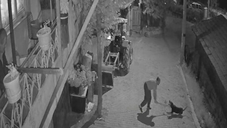 Kocaeli'de kan donduran vahşet! Köpeği demir sopayla öldürdü