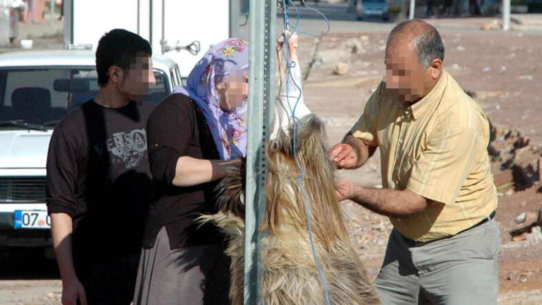 Kurban Bayramı öncesi kritik uyarı: Bu hatanın bedeli 29 bin TL!