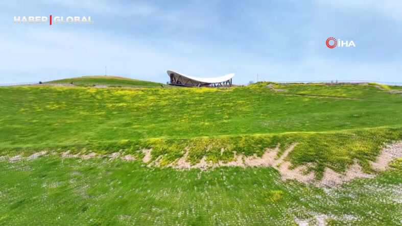 Tarihin sıfır noktası Göbeklitepe yeşile büründü