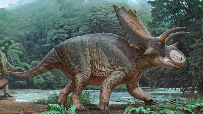 Tayland'da yeni bir dinozor türüne ait kalıntılar bulundu