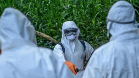 Tehlikenin adı: Ebola salgını! Afrika Birliği'nden 'ortak mücadele' çağrısı