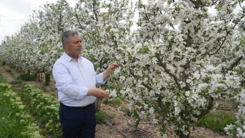 Tüccarların depo oyunu: 30 liraya alıp 270 liraya satıyorlar