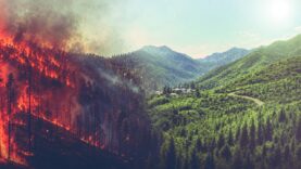el-nino-orman-yangini-riskini-artiriyor.jpg