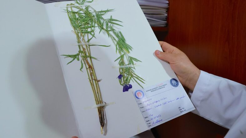 hakkarinin-envanteri-genisledi-bitki-turu-800e-yukseldi.jpg
