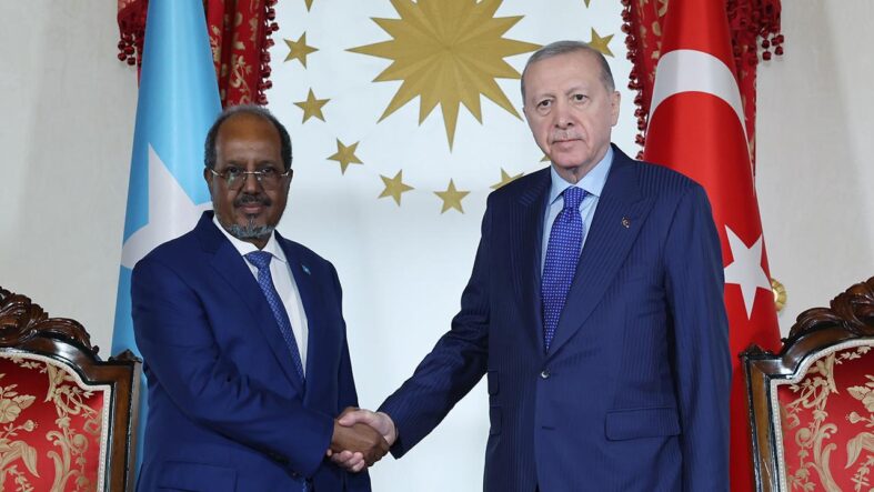 somali-cumhurbaskani-mahmud-turkiyeden-baska-kimimiz-var-ki.jpg