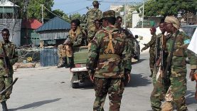 Somali'de Eş-Şebab üyesi 30 terörist öldürüldü
