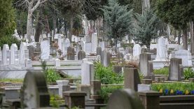 TÜİK 2025 yılı ölüm verilerini açıkladı: Ölümlerin üçte biri 'kalp' kaynaklı!