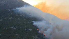 kasta-orman-yanginina-havadan-ve-karadan-mudahale.jpg
