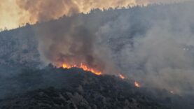 kasta-orman-yanginiyla-mucadele-ikinci-gununde-de-suruyor.jpg