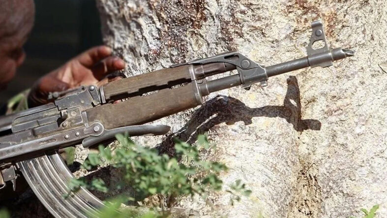 Somali’de 8 Eş-Şebab militanı etkisiz hale getirildi