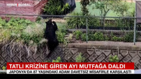 tatli-krizine-giren-ayi-mutfaga-daldi.jpg