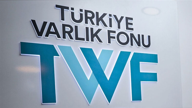 turkiye-varlik-fonu-dunyanin-en-hizli-gelisen-fonlari-arasinda.jpg