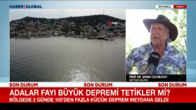 adalar-fayi-buyuk-depremi-tetikler-mi-prof-dr-sener-usumezsoy-acikladi.jpg