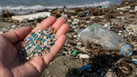 akdenizin-gozyaslari-mikroplastik-kiyiya-vuruyor.jpg