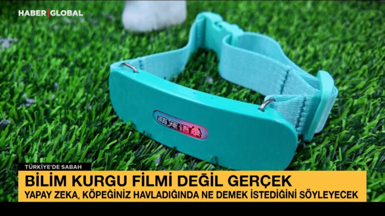 Bilim kurgu filmi değil gerçek: Yapay zeka, köpeğiniz havladığında ne demek istediğini söyleyecek