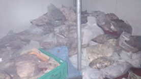 bodrumda-400-kilo-bozuk-ete-el-konuldu.jpg