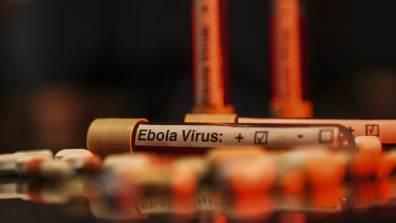 Ebola salgını alarmı büyüyor! Çok sayıda ölü var